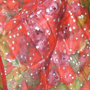 Pintura sobre seda, 2006